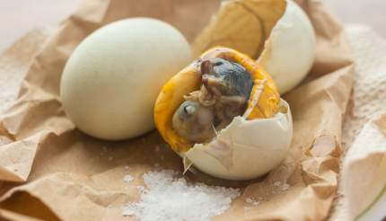 Balut