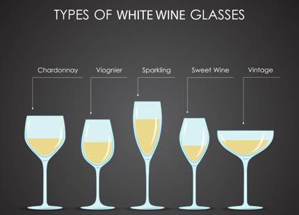 Vector image of common types of white wine glasses