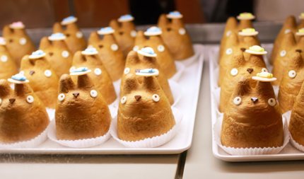 Totoro cream puffs at Shirohige Cream Puff Factory