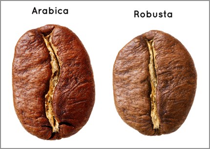 Arabica versus Robusta