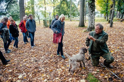 Searching for truffles