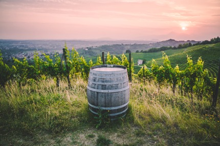 The landscape of Friuli-Venezia Giulia