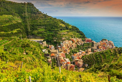 Terraced vineyards in Liguria