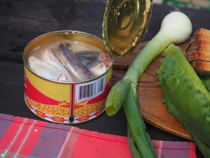 A can of surströmming