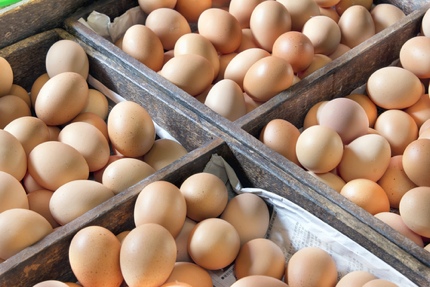 Fresh eggs for sale