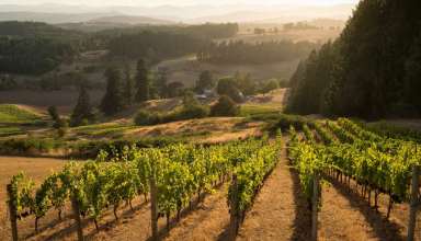 Domaine Nicholas Jay, Willamette Valley, Oregon