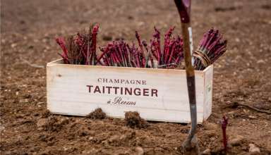 Champagne Taittinger