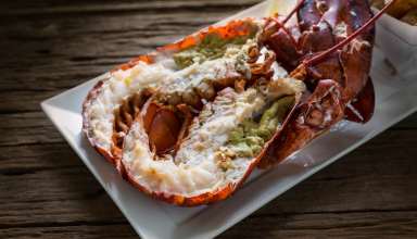 Lobster steamed with white wine sauce - Vancouver food and drink guide
