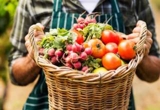 A man holding a basket of fresh vegetables