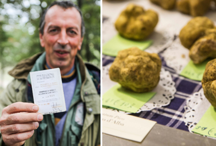 Truffle hunting with Gianni