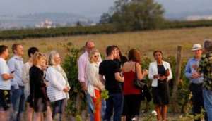 O'Vineyards Carcassonne on a wine tour and tasting