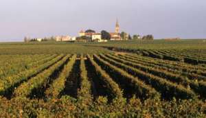 Pomerol