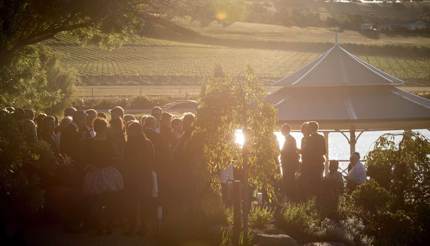 Effervescence Tasmania takes place in the impossibly picturesque surrounds of Josef Chromy Wines, just outside Launceston