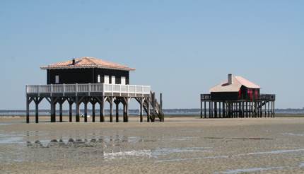 Arcachon Bay