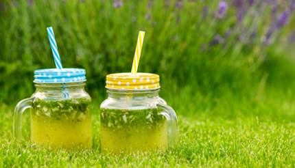 Two jugs of Limonana on grass