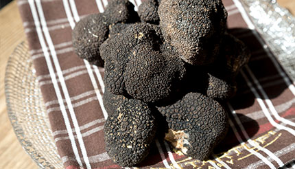 Truffles