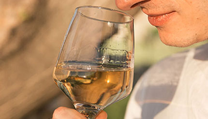 Man smelling a glass of white wine before tasting it