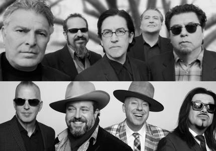 Los Lobos and The Mavericks - promo image