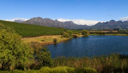 Stellenbosch